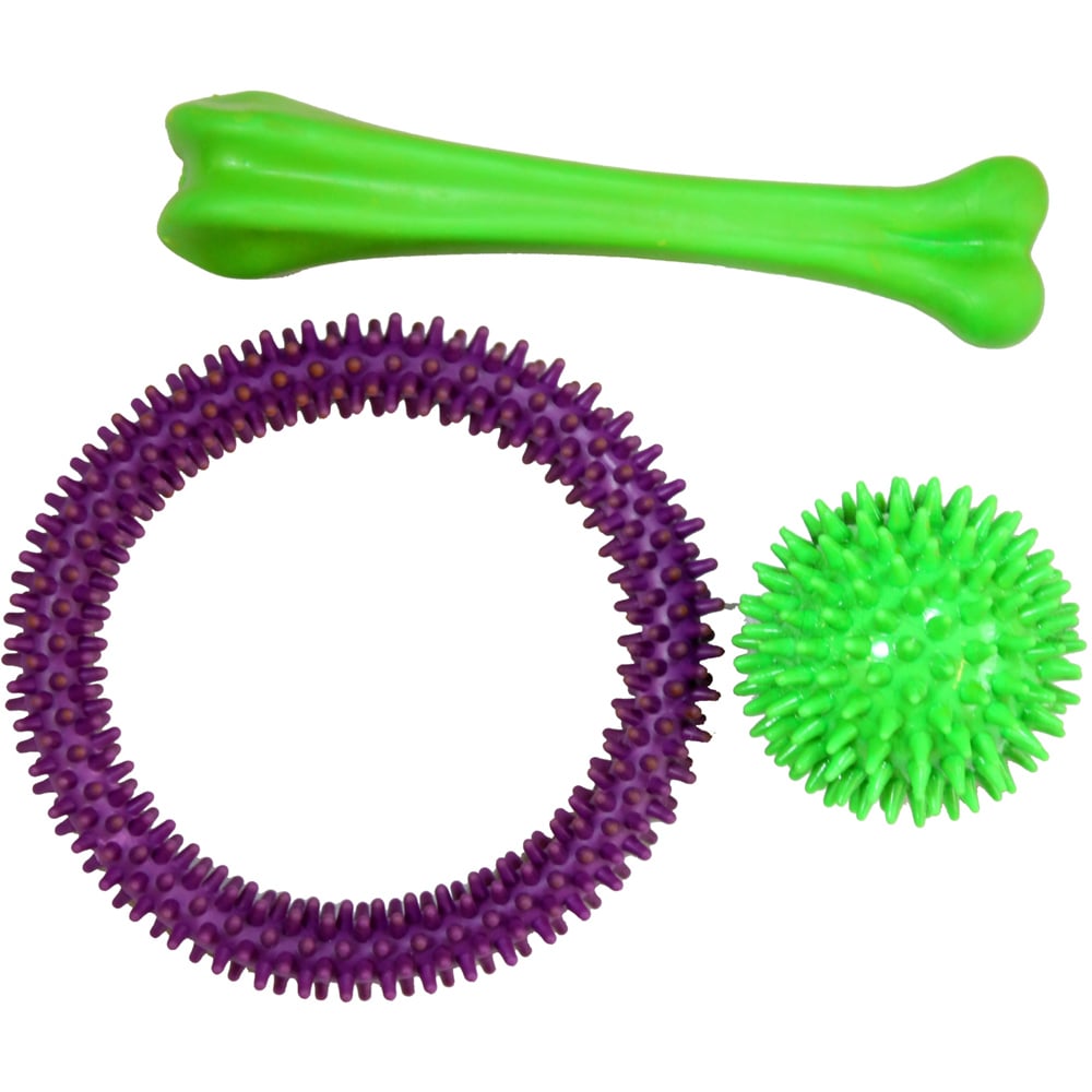 Single Good Boy Rubber Dog Chew Toy in Assorted styles Image