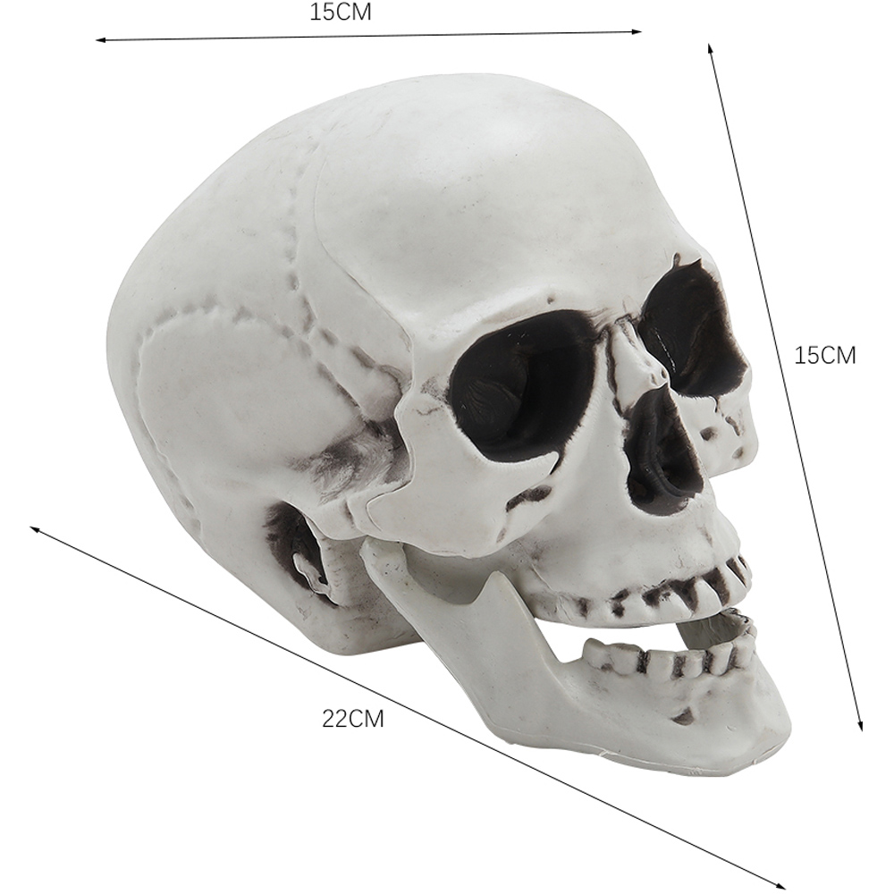 Living and Home Halloween Realistic Tabletop Skull 22cm Image 9