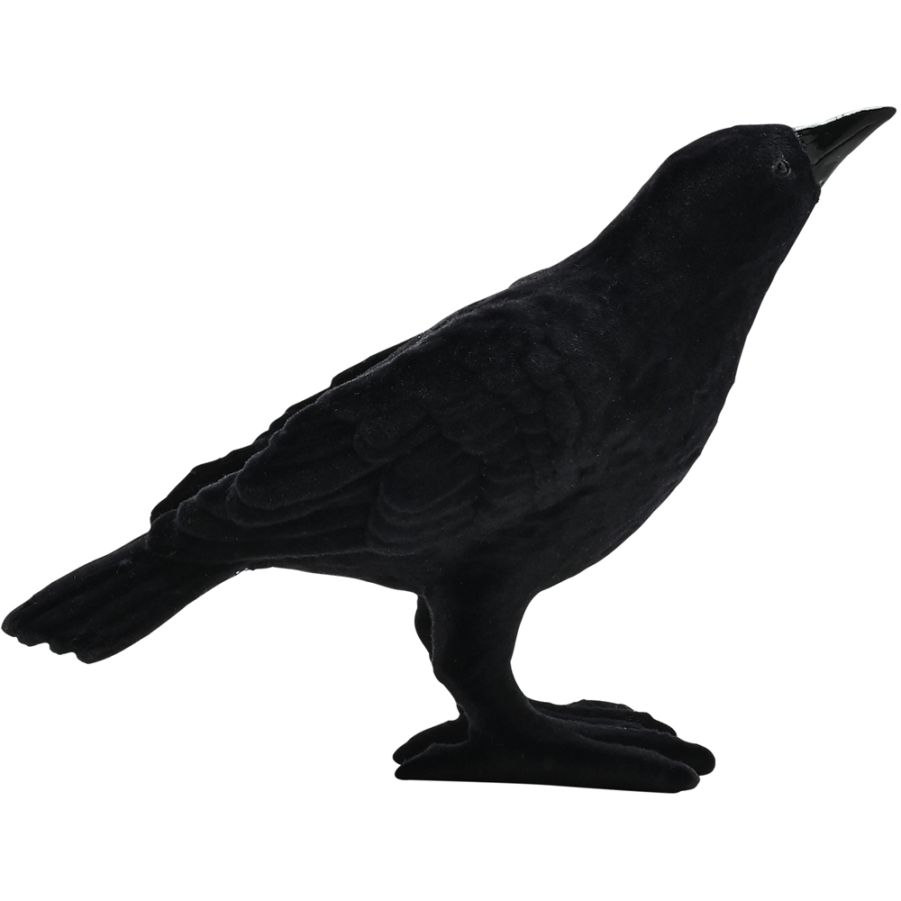Hocus Pocus Halloween Flocked Crow Image 3