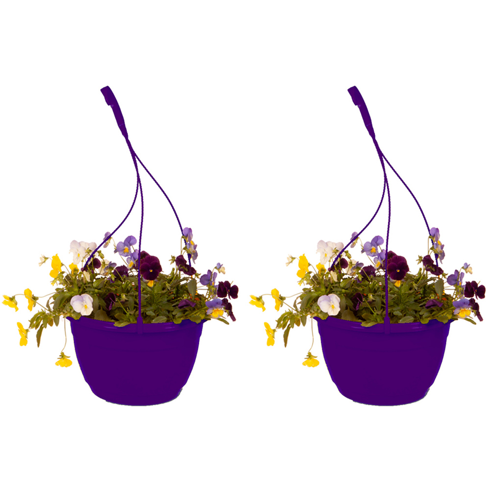 wilko 25cm Pansy Cool Wave Berries and Cream Hanging Basket 2 Pack Image 1