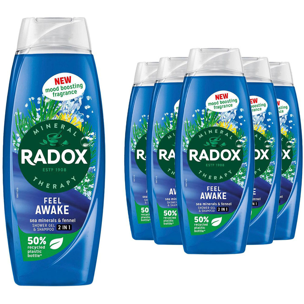 Radox 2-in-1 Feel Awake Men Fennel and Sea Minerals Body Wash and Shampoo 450ml 6 Pack Image 1