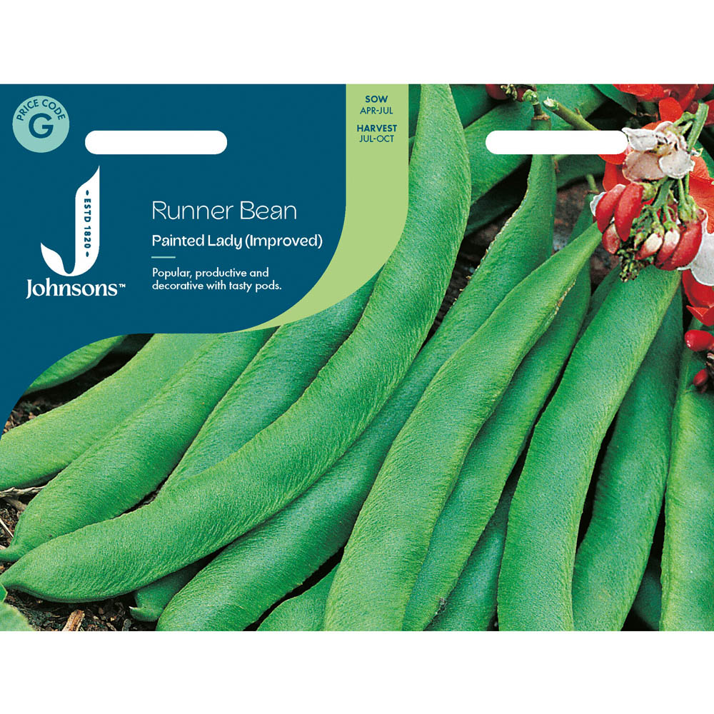 Pack of 40 Painted Lady Improved Runner Bean Seeds Image 1