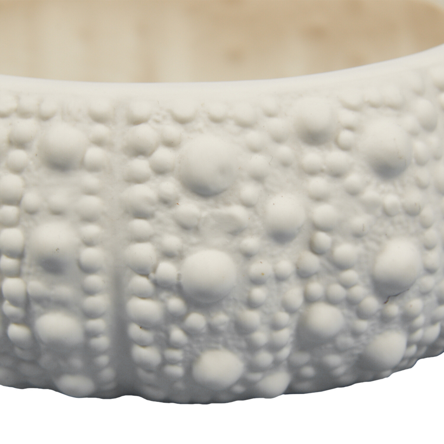 Sea Urchin Trinket Dish - White Image 4