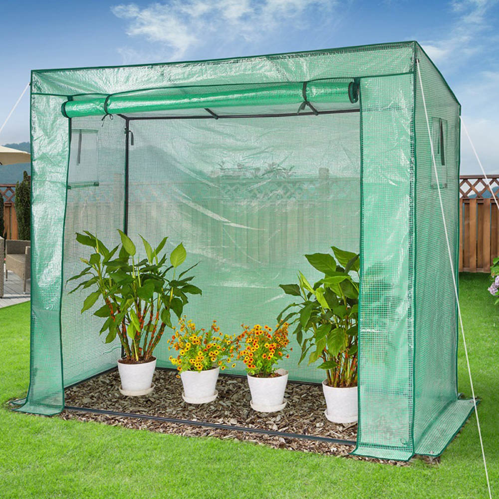 AMOS Green Plastic 5.6 x 2.6ft Walk In Tomato Planter Greenhouse Image 5