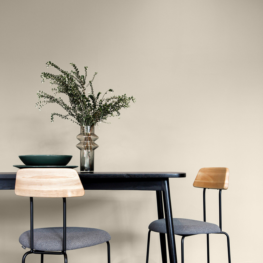 Craig & Rose Kitchen and Bathroom Regency White Eggshell Paint 750ml Image 4