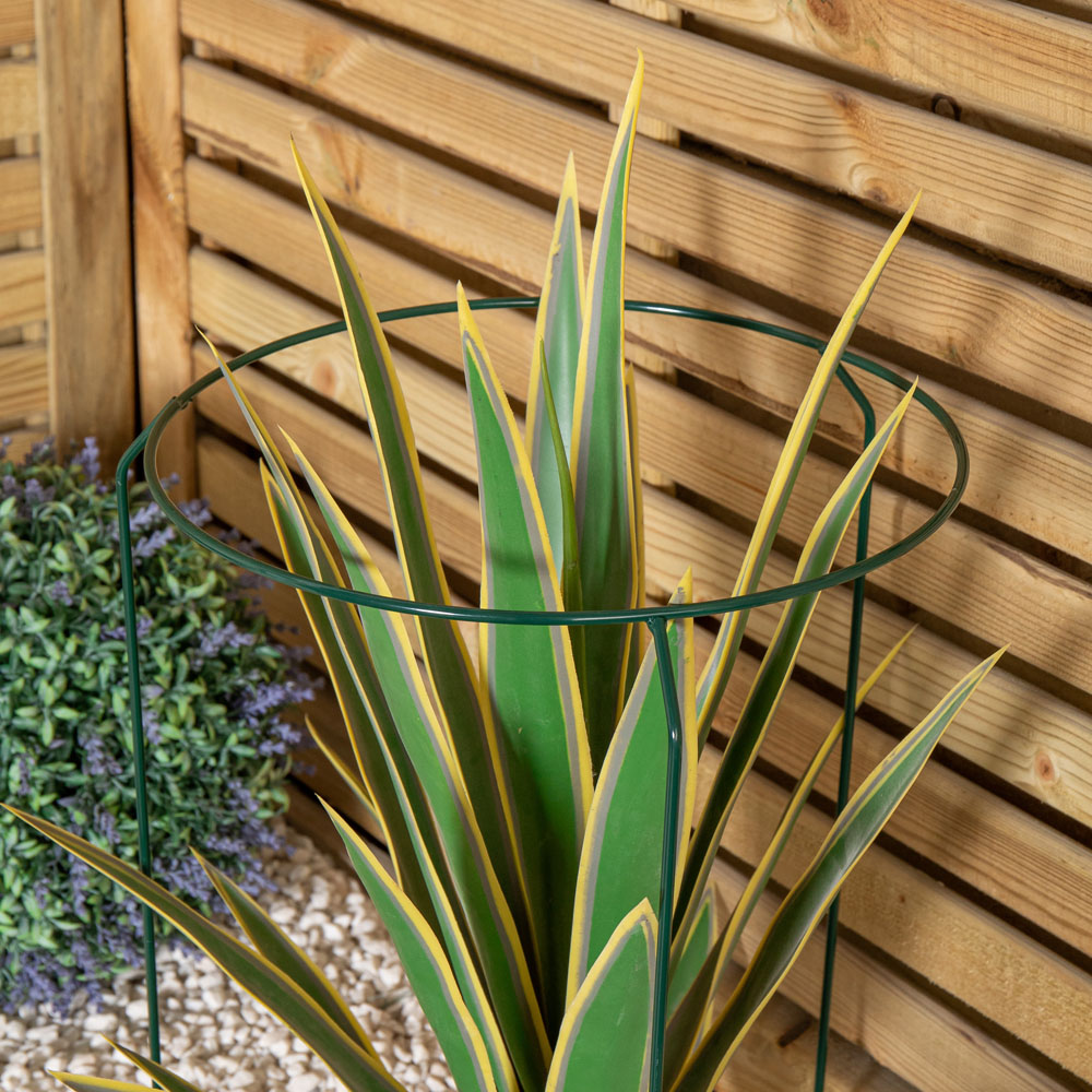 Samuel Alexander Urban Metal Herbaceous Plant Support Ring 30 x 50cm Image 7