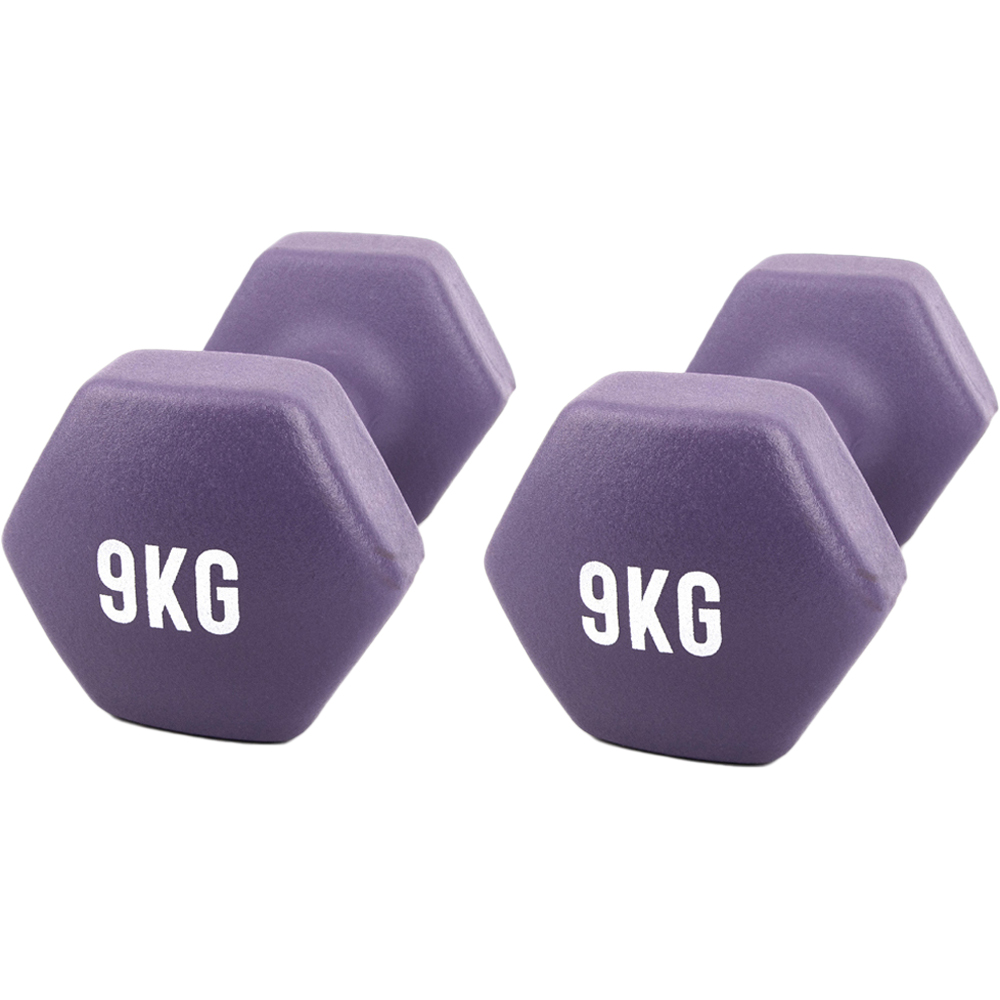 Myga Dumbbell 9kg 2 Pack Image 1