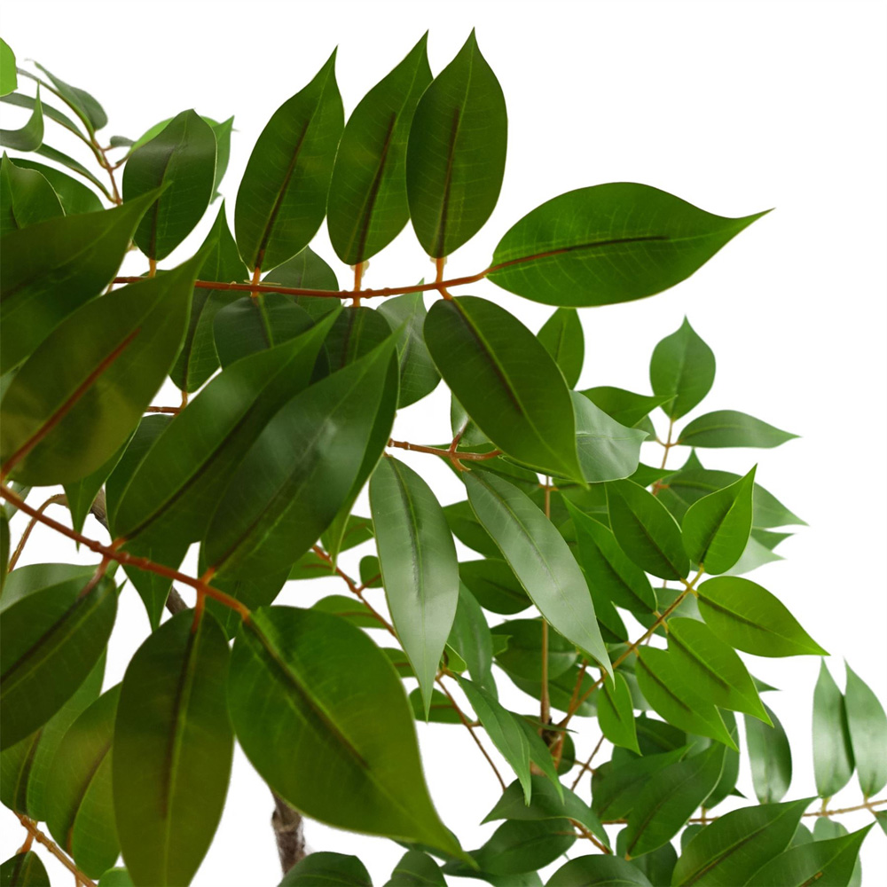 Leaf Evergreen Toona Sinensis Artificial Plant 65cm Image 4