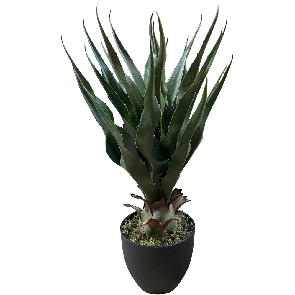 Botanik Agave Tropical Yucca Artificial Tree 70cm Image 2