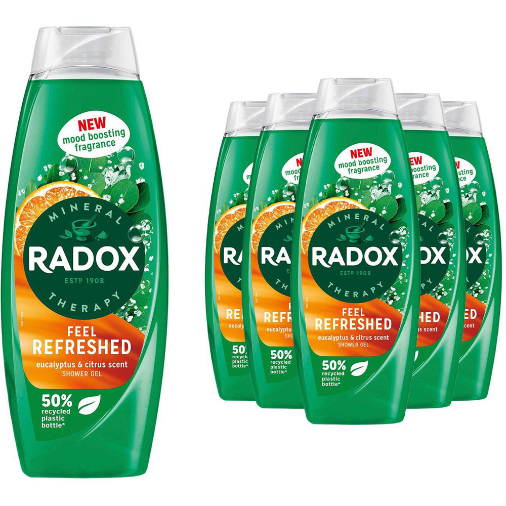 Radox Feel Refreshed Eucalyptus and Citrus Scent Shower Gel 675ml 6 Pack Image 1