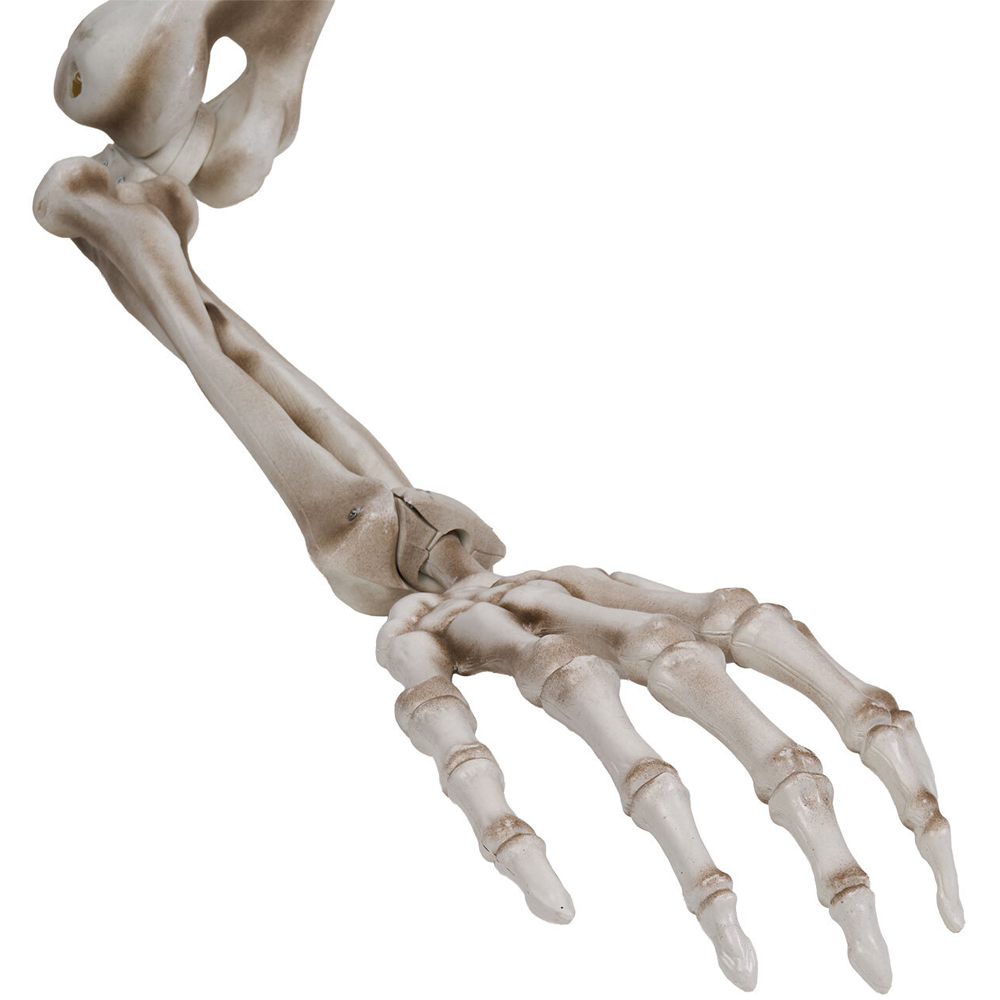 Giant Skeleton Groundbreaker Decoration Image 6