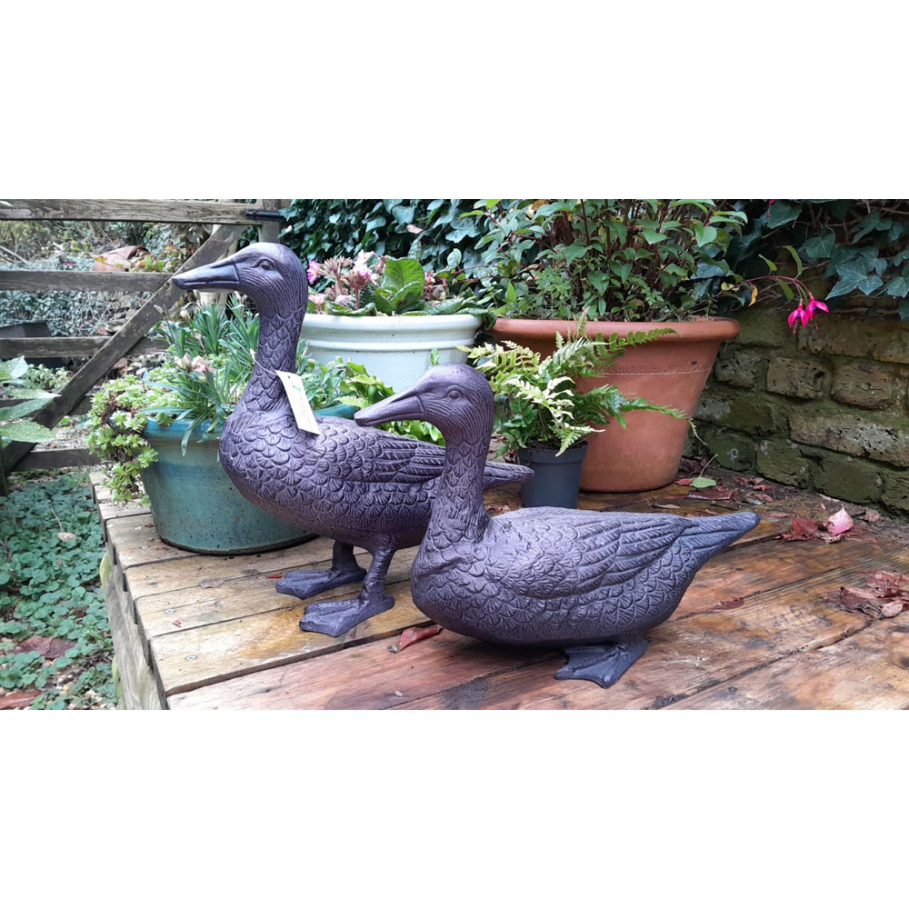 Inspirational Gifting 2 Piece Duck Cast Aluminium Garden Ornament Set Image 3
