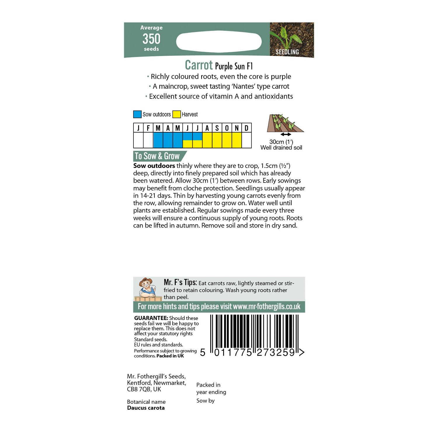 Carrot Purple Sun F12 Image 2