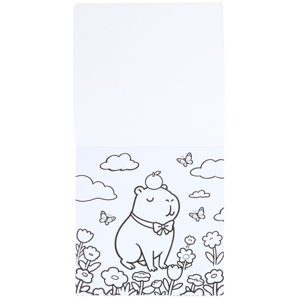 Cute Capybara Colouring Book Image 3