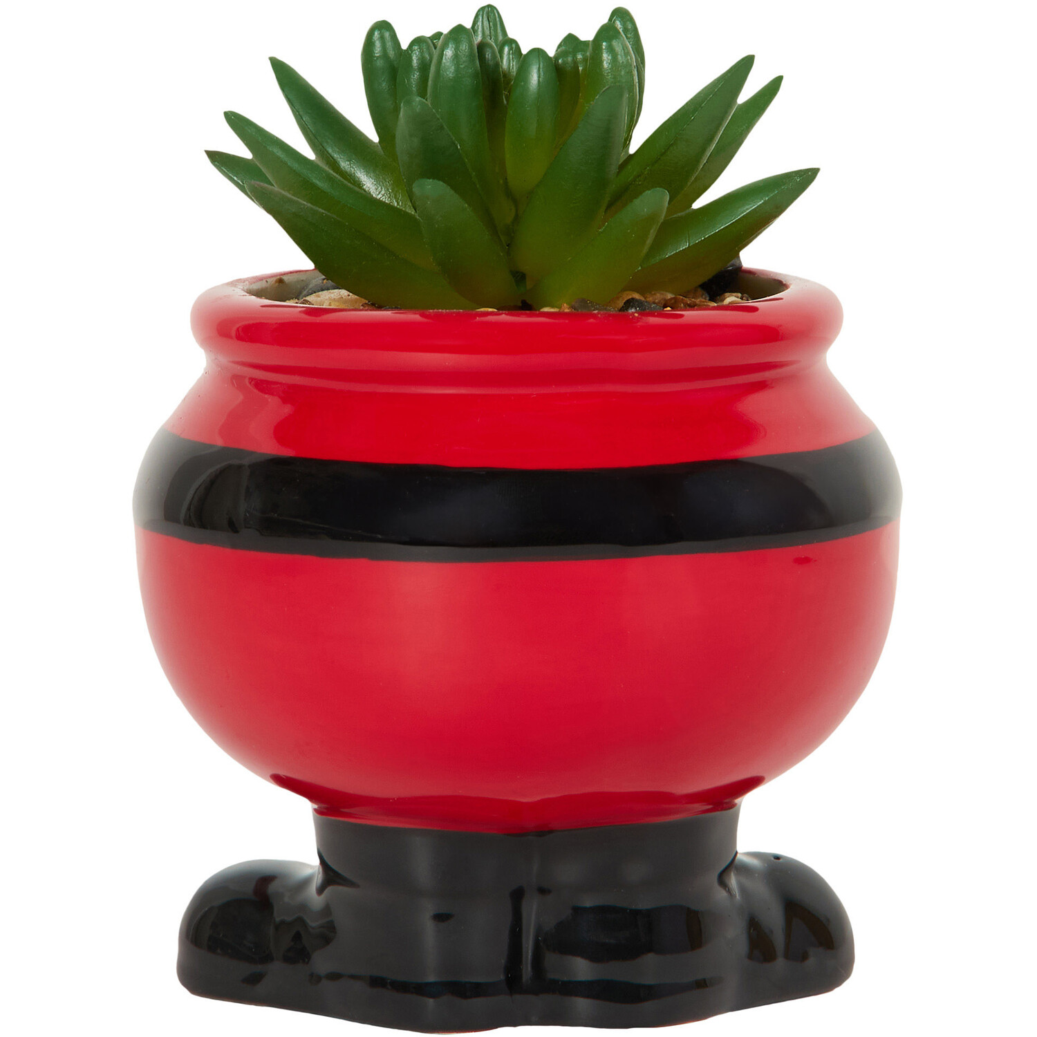 Novelty Christmas Succulent Image 5