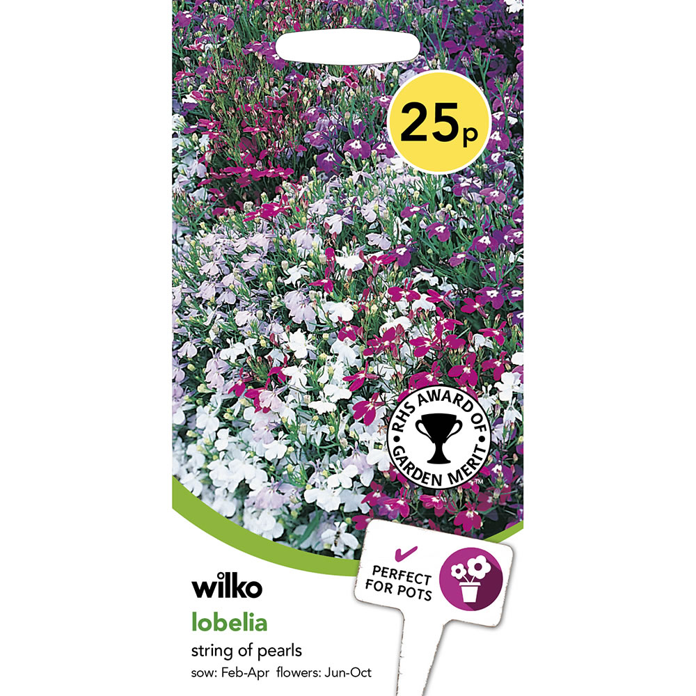 Wilko Lobelia String of Pearls Seeds Image 2