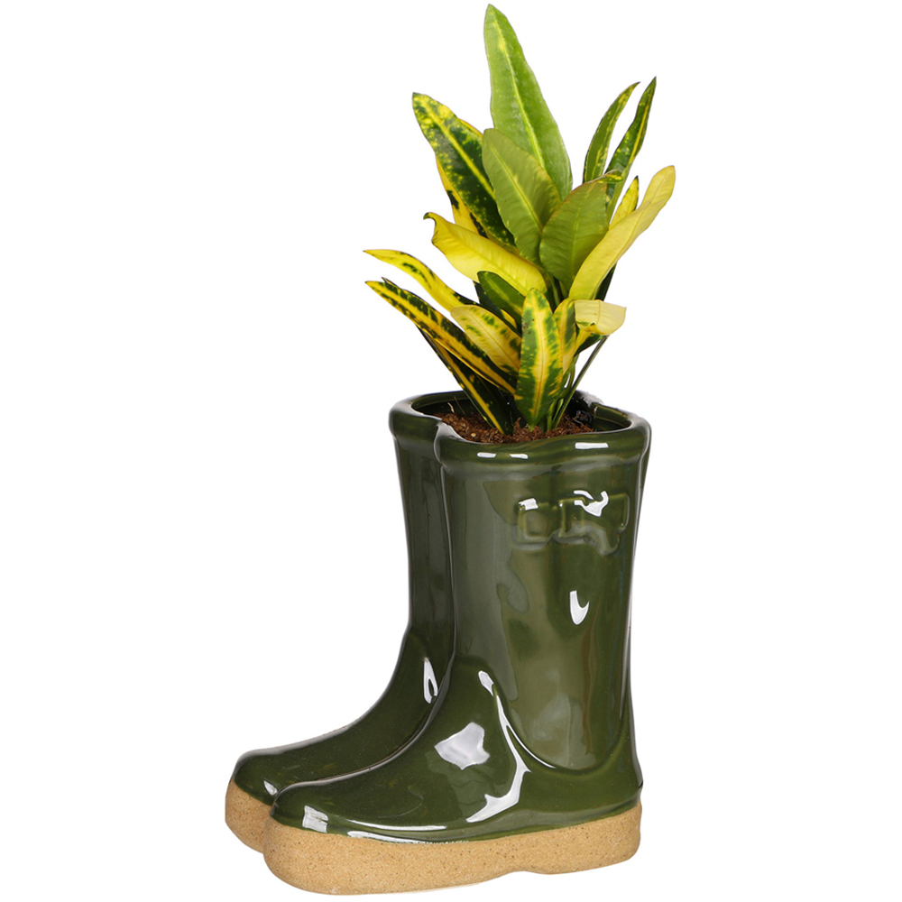 Dibor Dark Green Double Wellington Planter 17cm Image 1