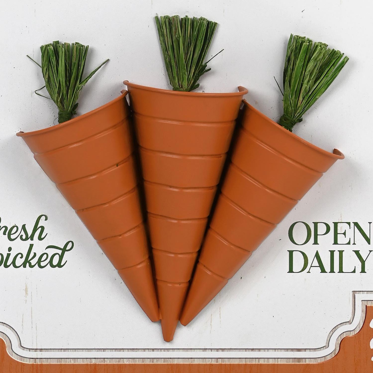 Cottontail Carrot Fields Plaque - Orange Image 5
