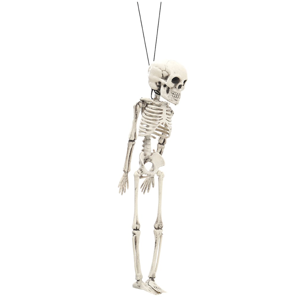 Living and Home Halloween Human Anatomy Skeleton 30cm Image 2