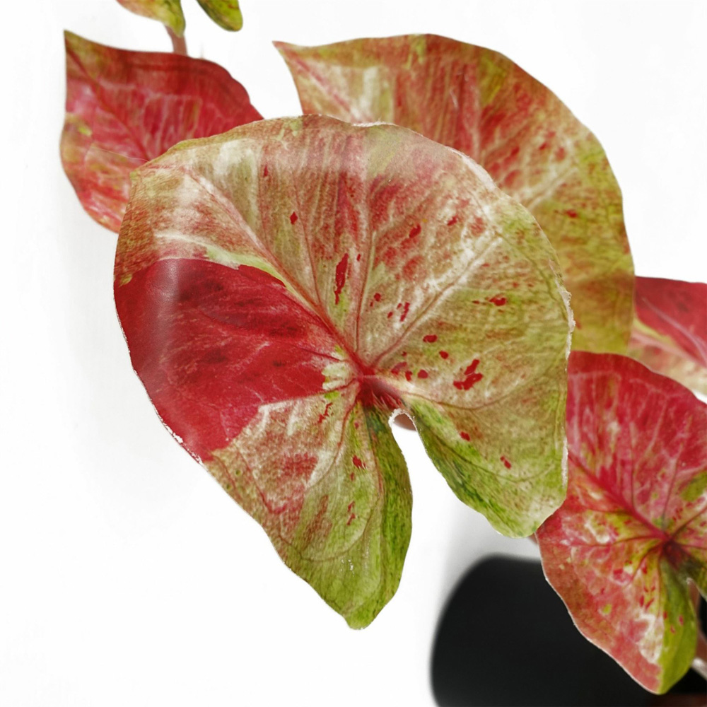 Botanik Pink Splash Trailing Caladium Hanging Artificial Plant in Pot 35cm Image 2