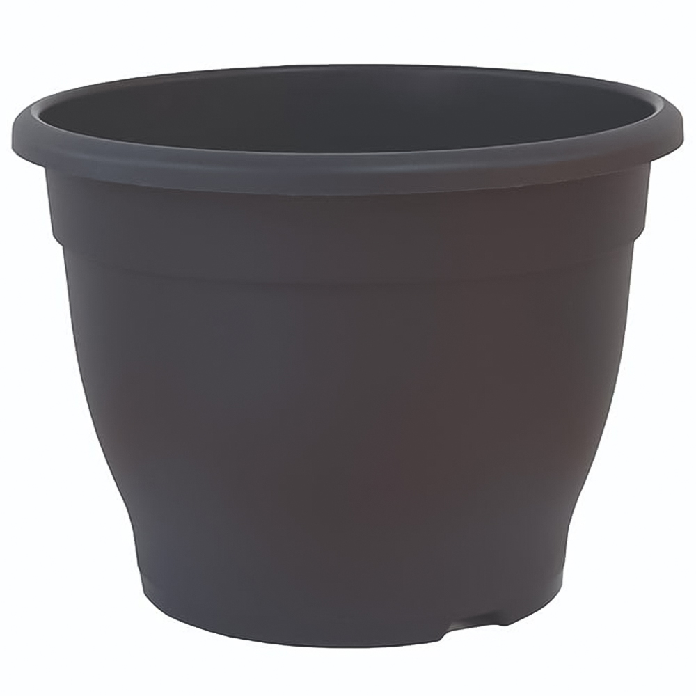 Thompson and Morgan Mediterranean Fruit Collection Plant Pot 4 Pack Image 6