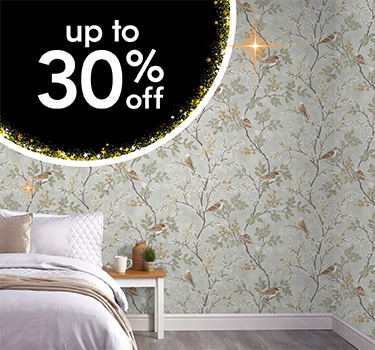 painting &amp; decorating black friday offers