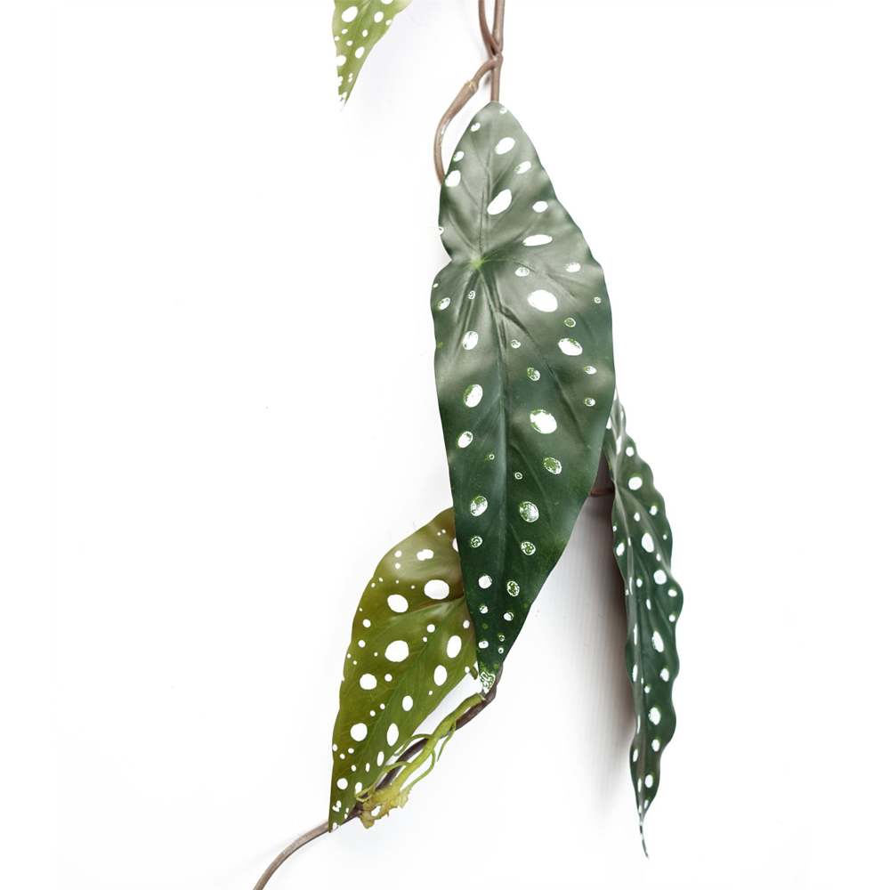 Leaf Trailing Begonia Maculata Spotted Hanging Artificial Plant 4ft Image 4