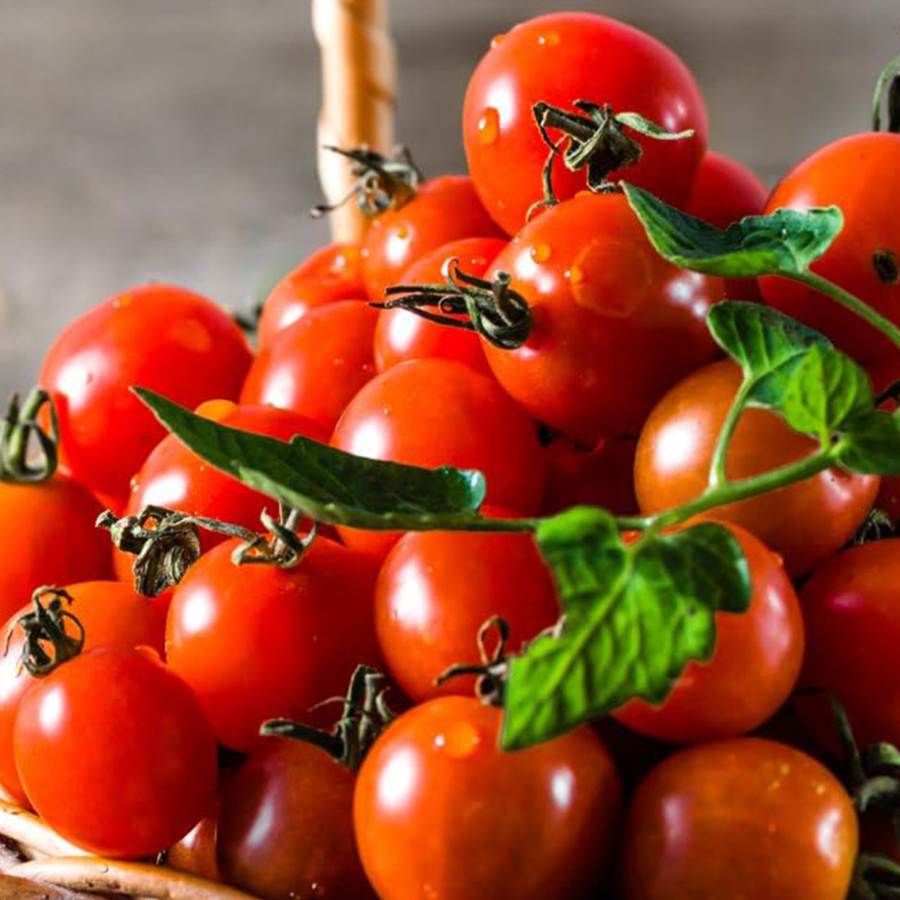 Thompson & Morgan Tomato Consuelo Crimson Cherry Seeds Image 1