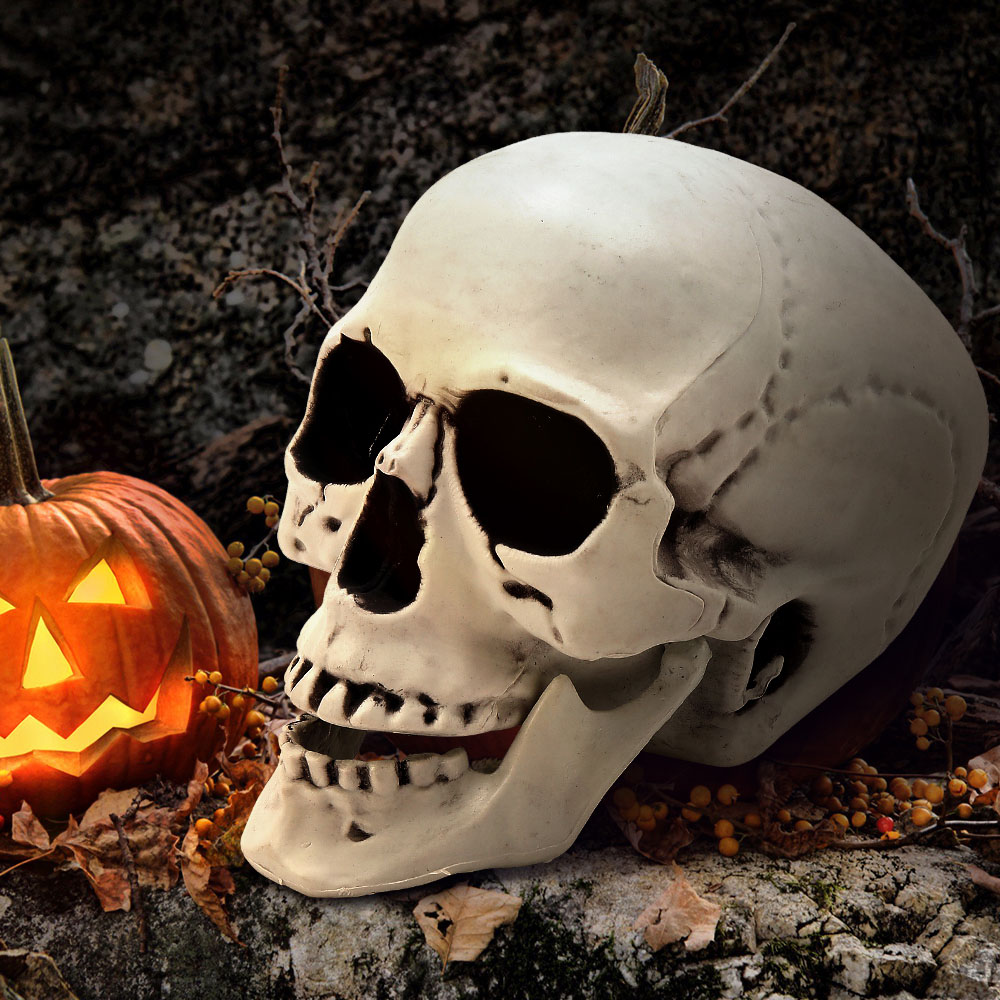 Living and Home Halloween Realistic Tabletop Skull 22cm Image 2