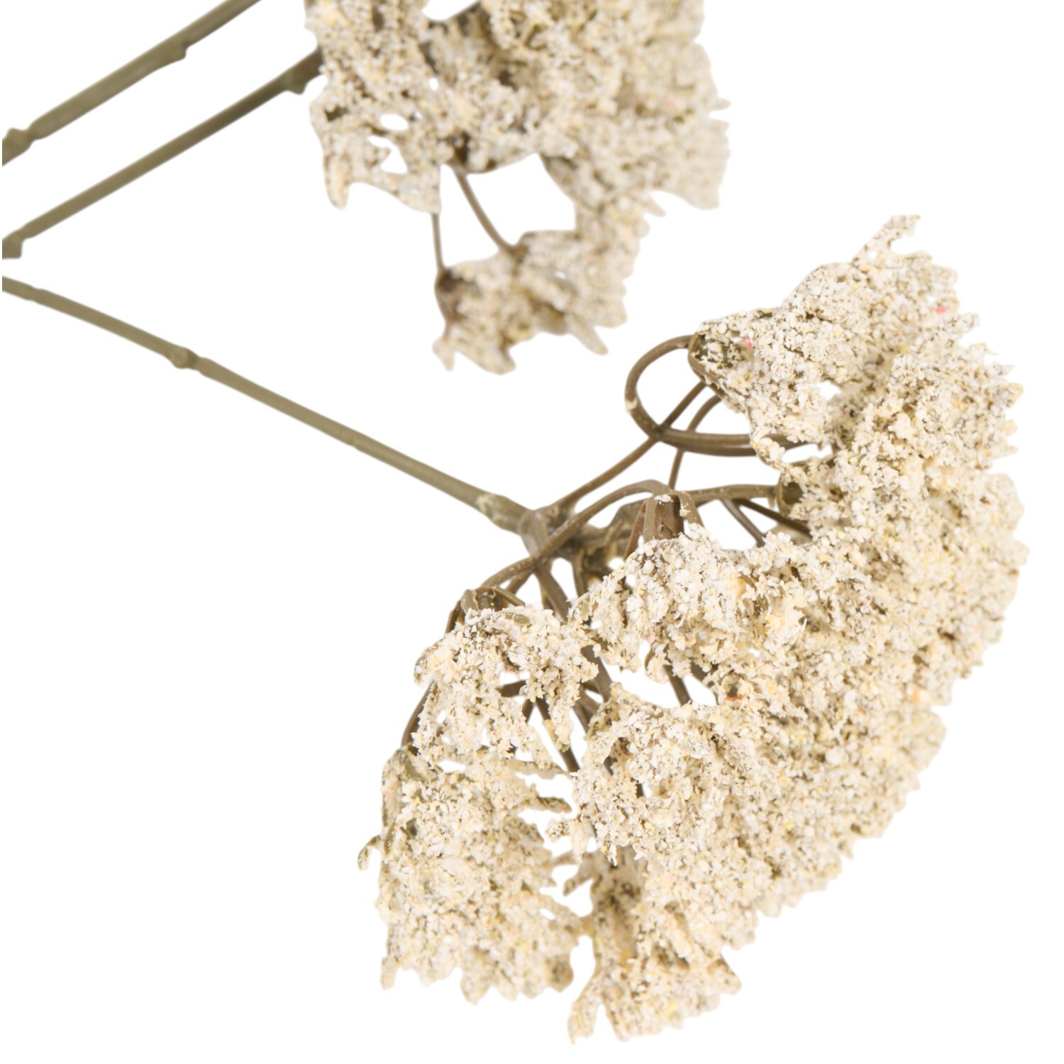 Queen Annes Lace Stem 86cm White Image 4