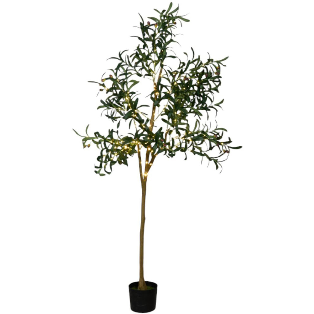 XL LED Olive Tree Green Image 2