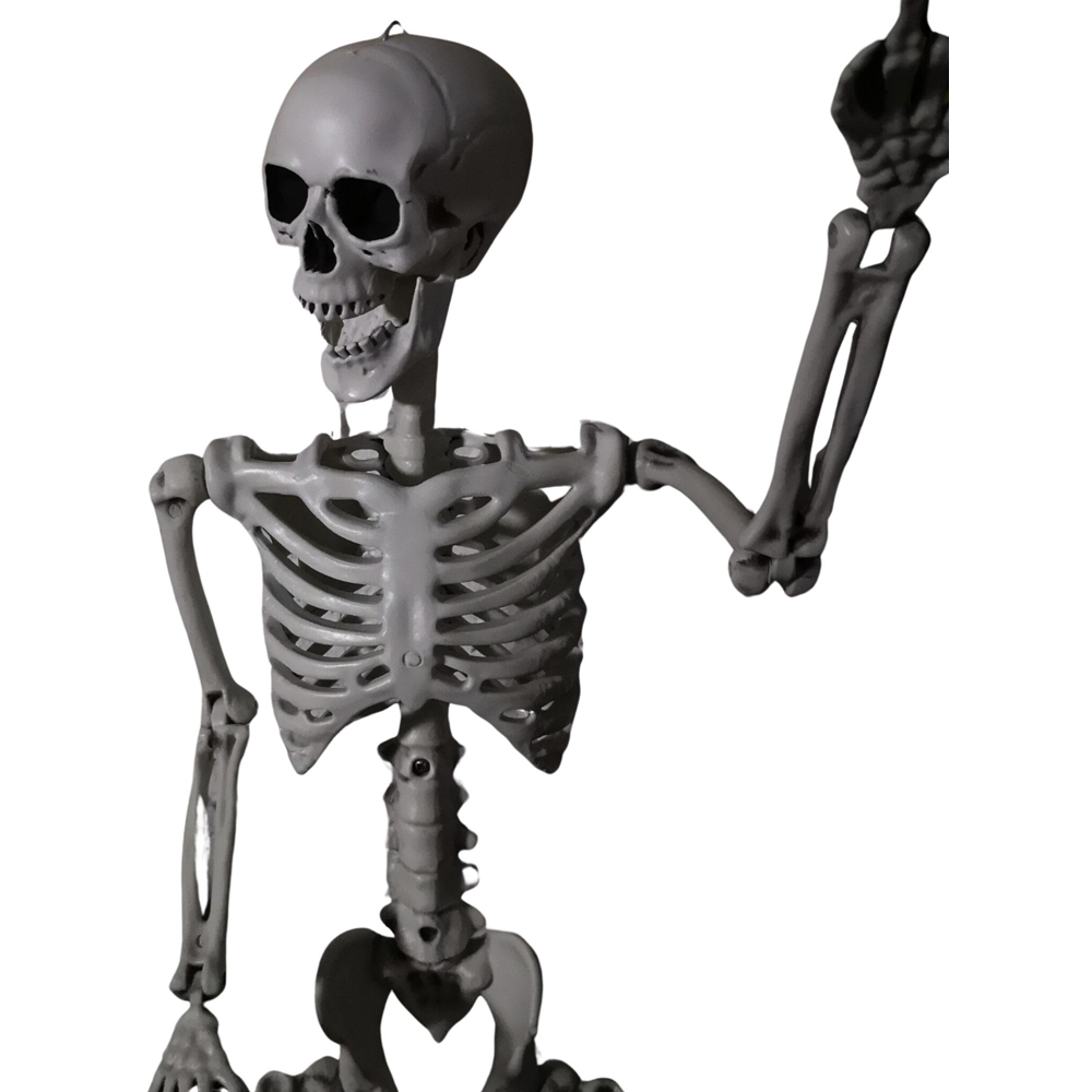 Samuel Alexander Posable Full Body Halloween Skeleton Decoration with Movable Joints 90cm 6 Pack Image 3