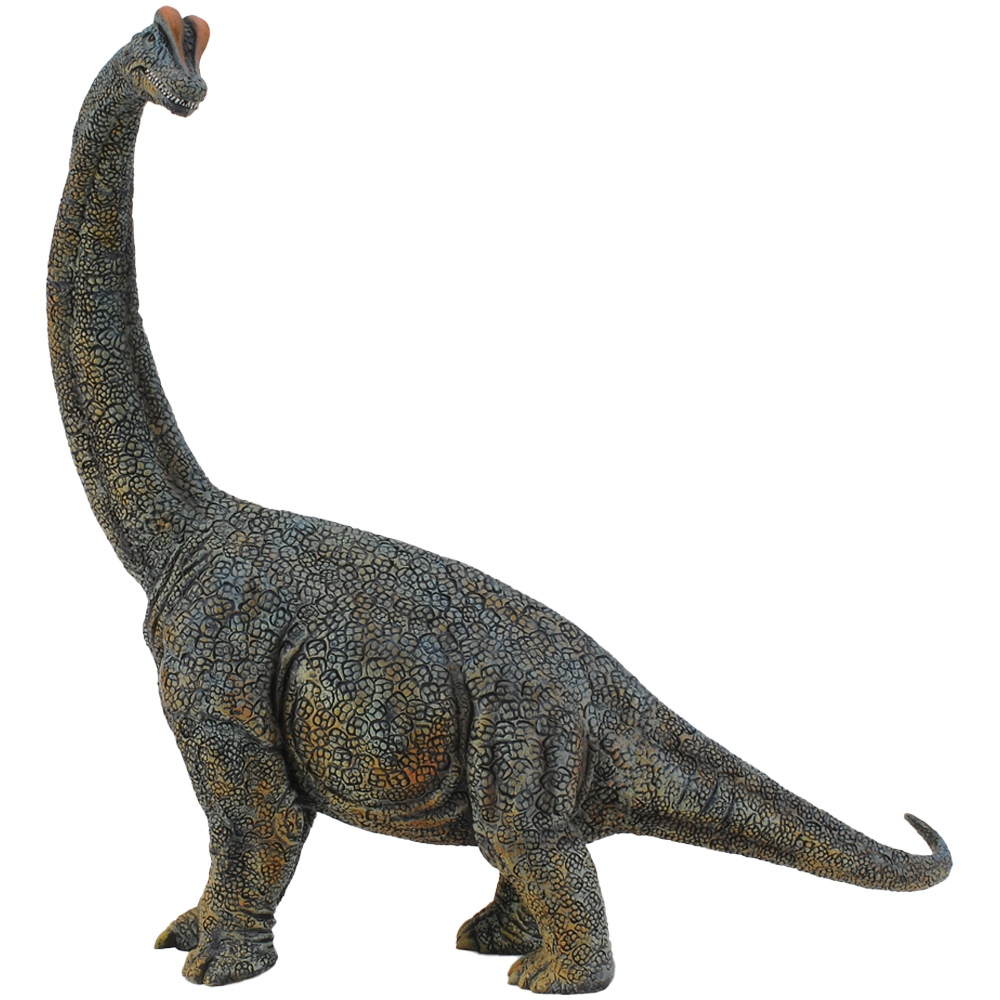 CollectA Brachiosaurus Dinosaur Toy Grey Image