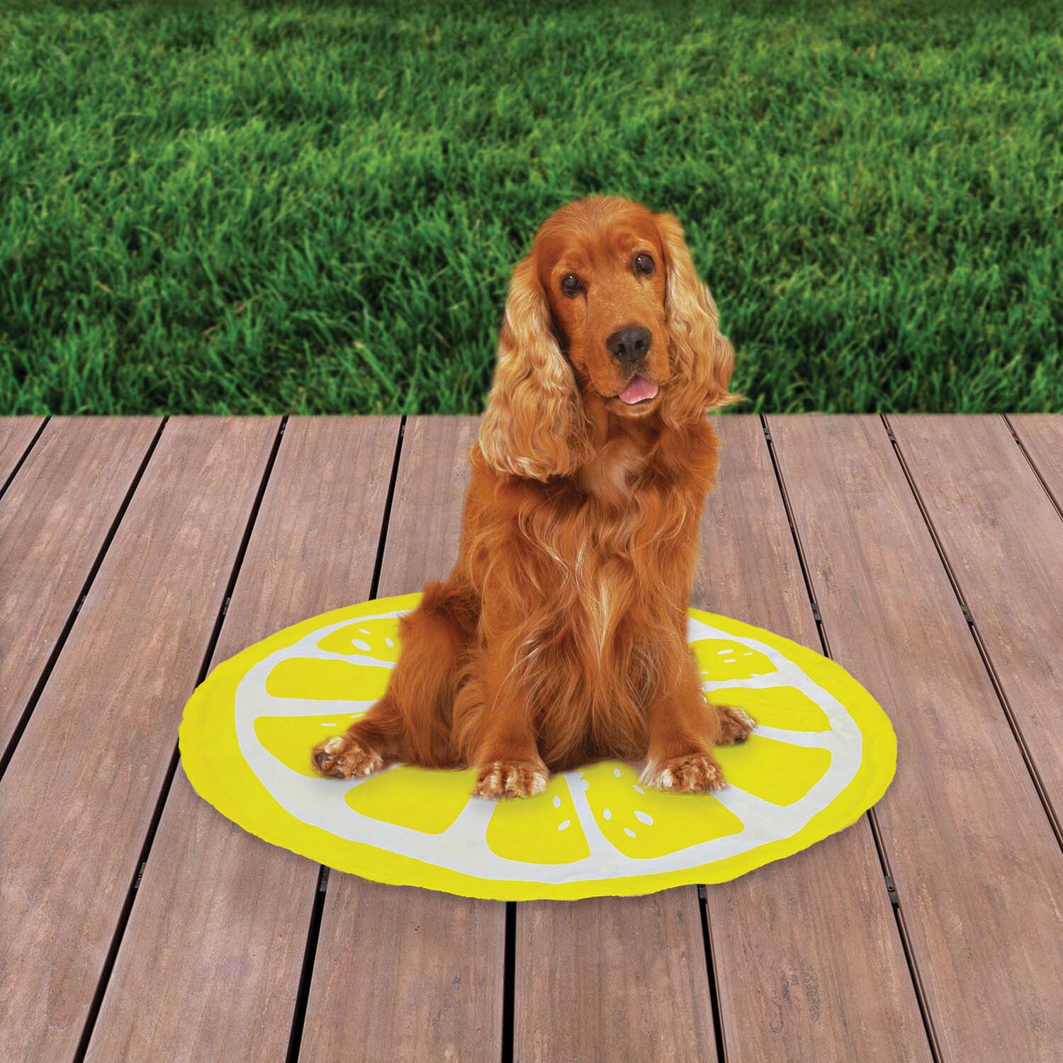 Fruit Pet Cooling Mat - Lemon Image 2