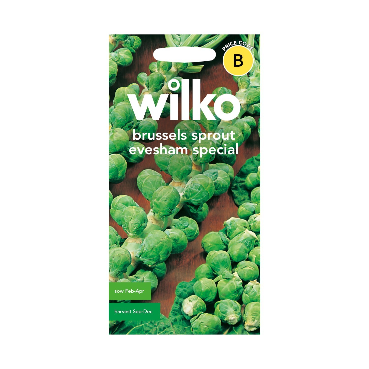 Brussels Sprouts Evesham Seeds Image