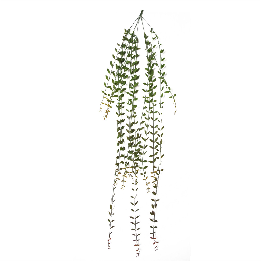 Leaf Extra Long String of Pearls Hanging Artificial Plant 4ft 12 Pack Image 5