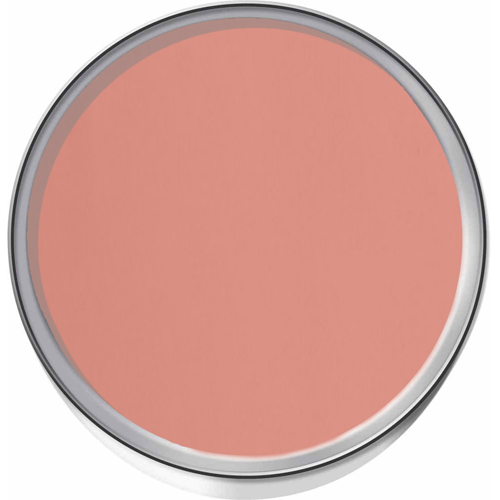 wilko Walls and Ceilings Silk Emulsion Paint Clay Rose Image 3