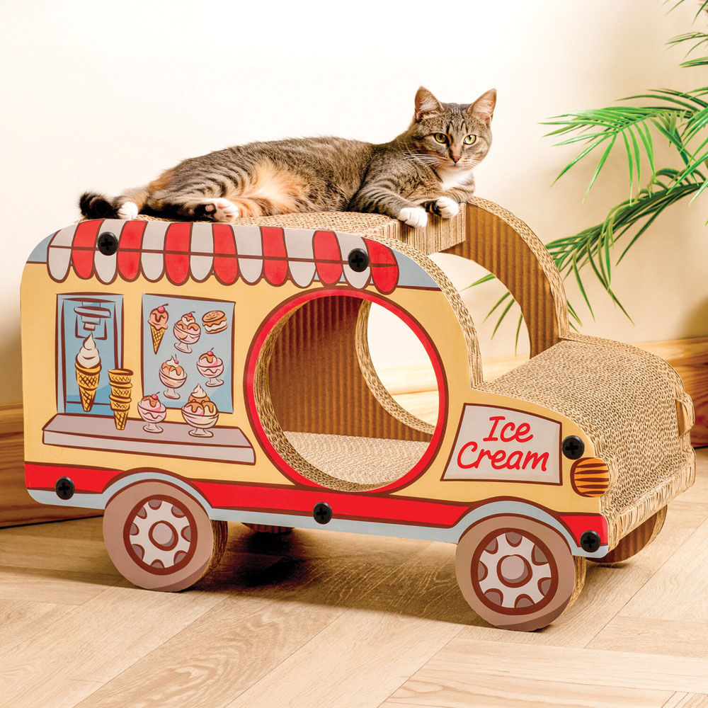 Ice Cream Van Scratcher Image 2