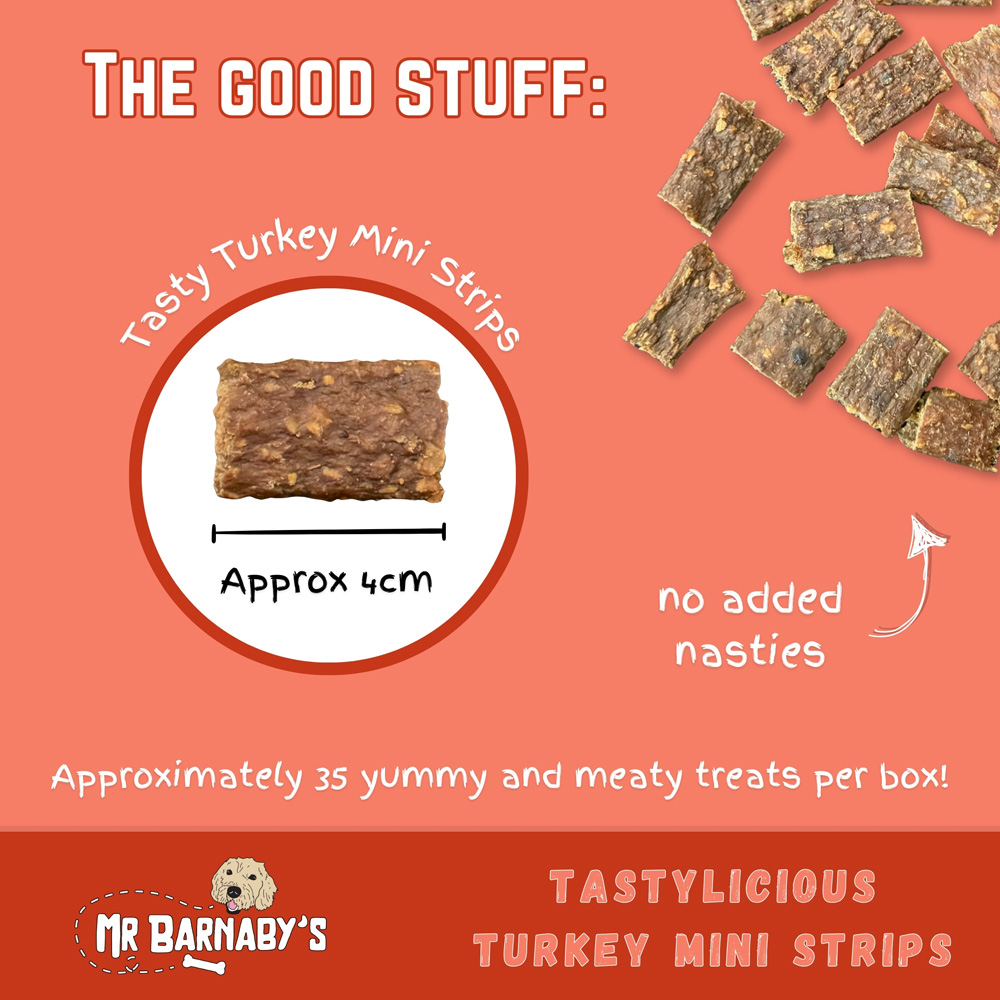 Mr Barnaby's Tastylicious Turkey Mini Strips Dog Treats 4 Pack Image 2