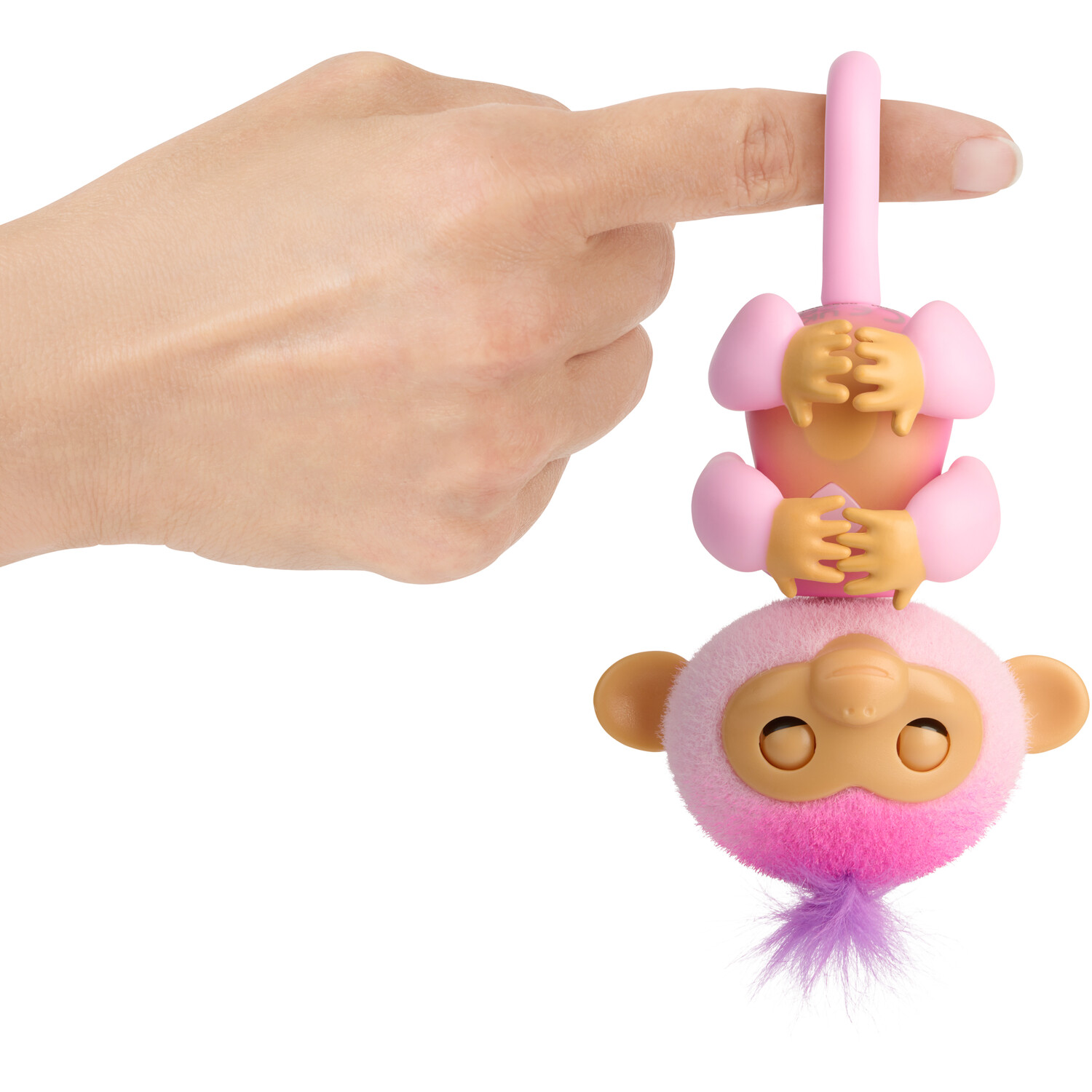 Single Fingerlings Monkey in Assorted styles Image 6