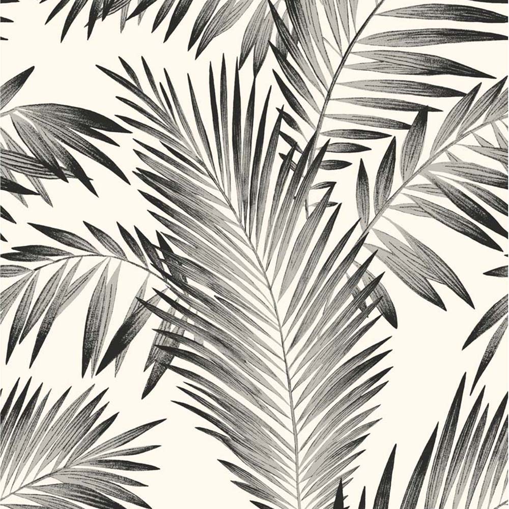 Arthouse Tropical Palm Leaf Black and White Wallpaper Image 1