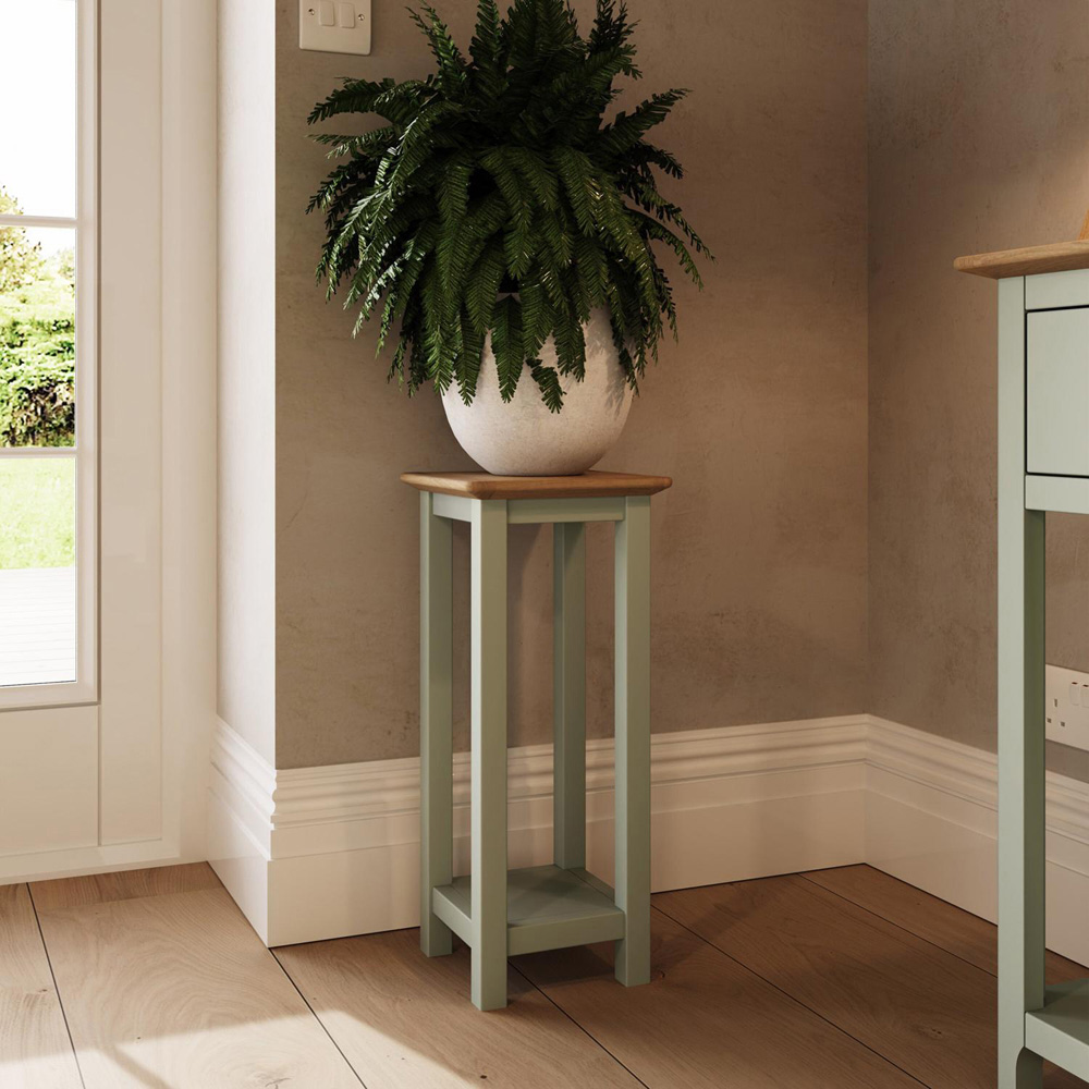 FWStyle Taberno Single Shelf Sage Green and Oak Side Table Image 7