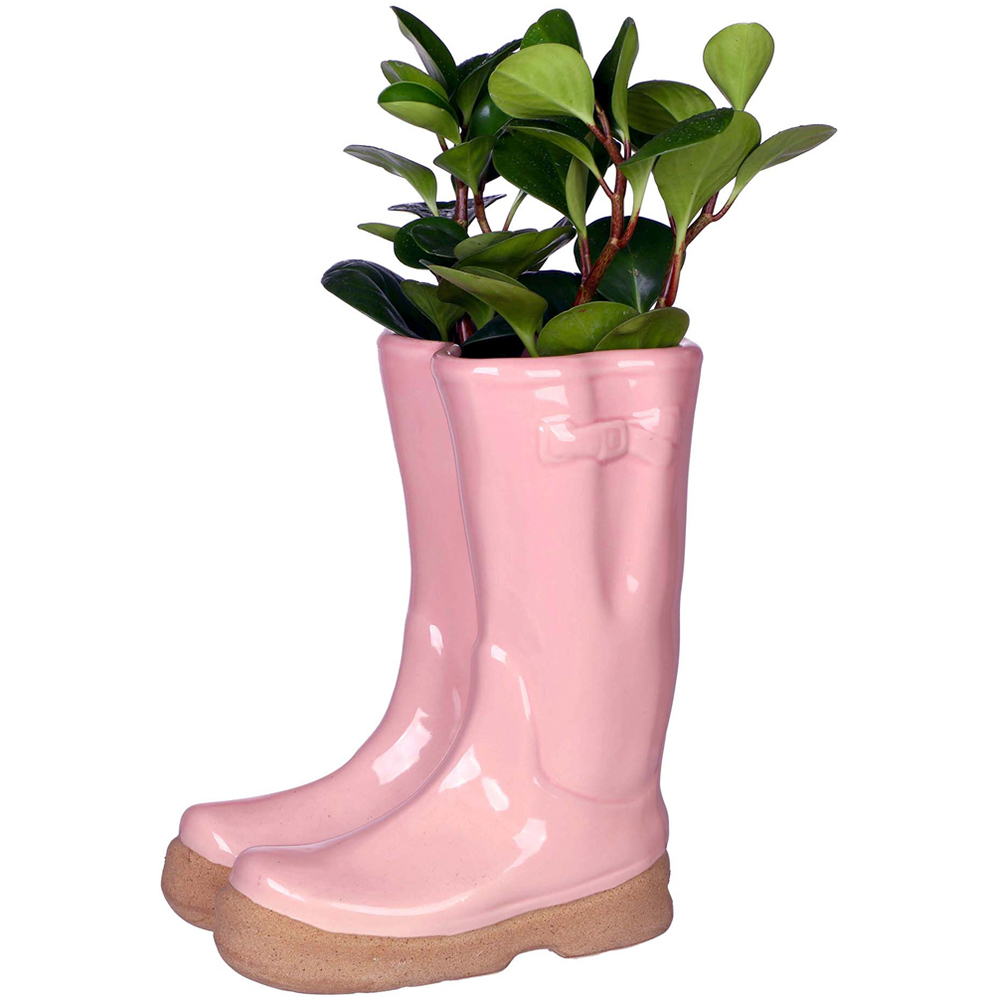 Dibor Pink Double Wellington Planter 29.5cm Image 1