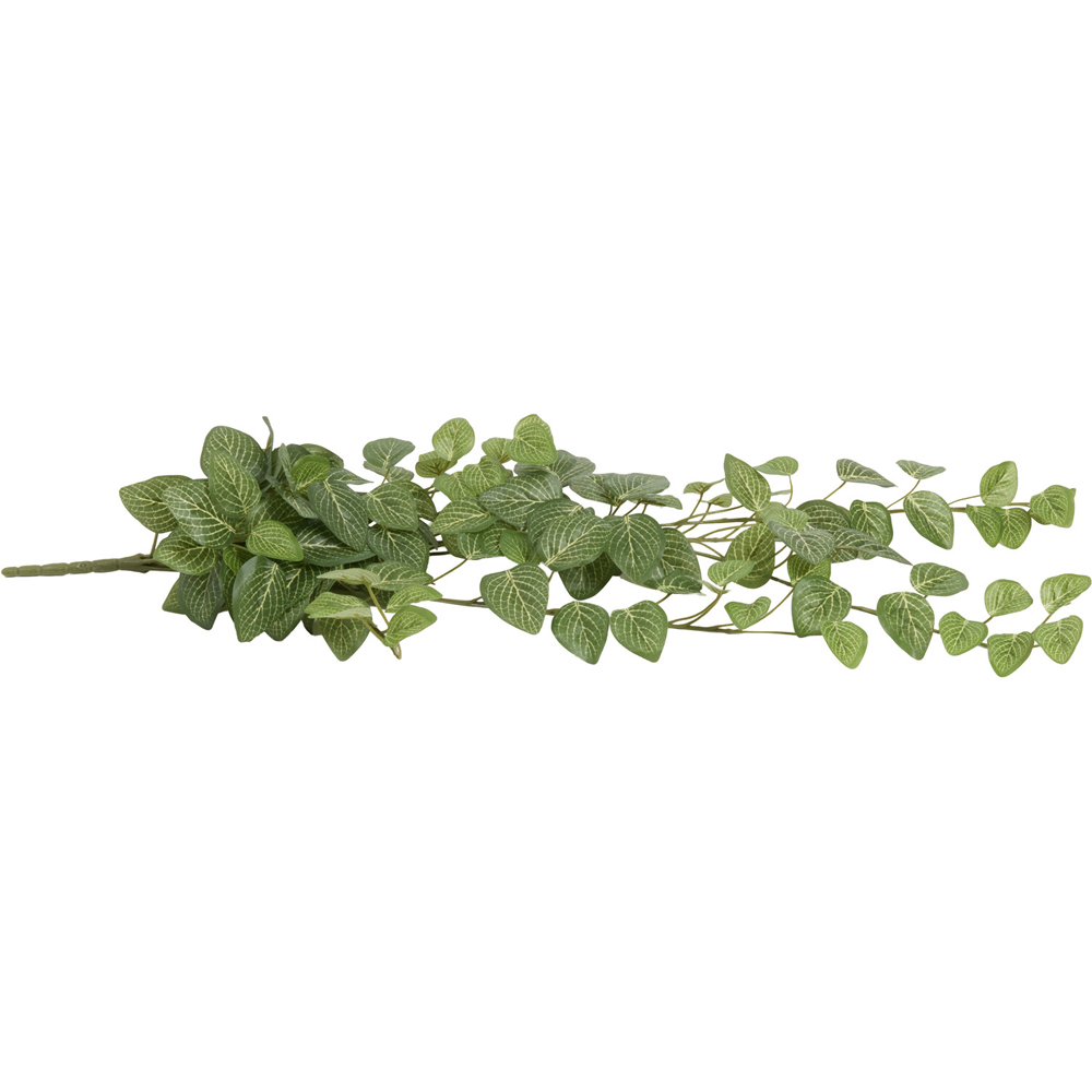 Hanging Fittona Artificial Plant Green Image 3