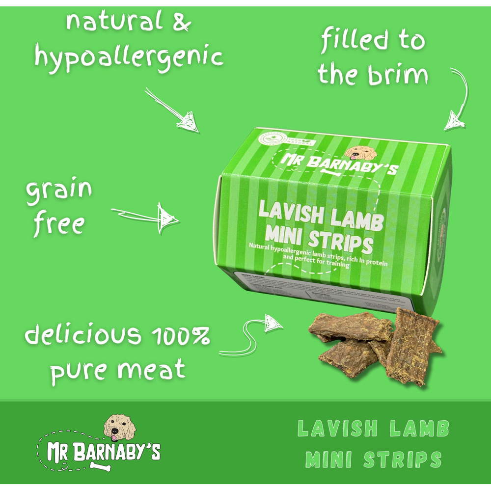 Mr Barnaby's Lavish Lamb Mini Strips Dog Treats 6 Pack Image 3