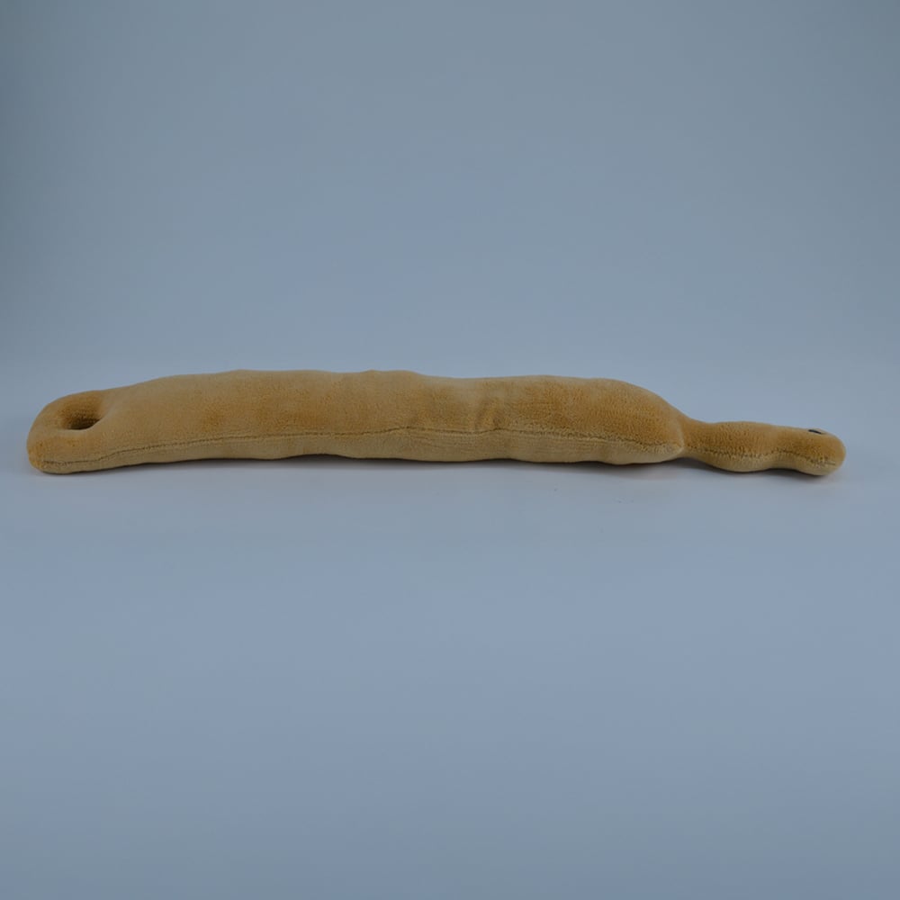 Avilo Beige Neck Massager Image 7