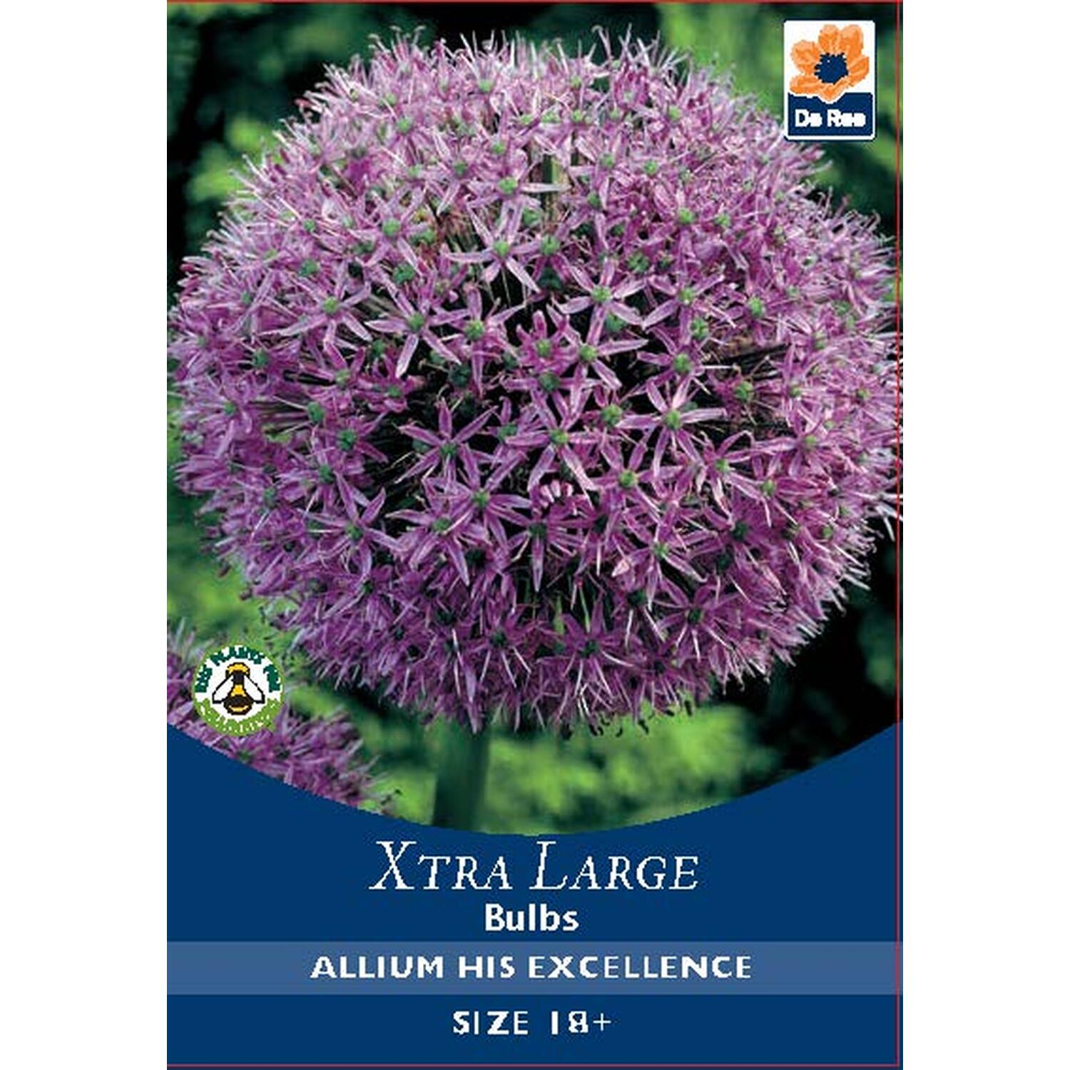 Extra Large Bulb Collection Image 21