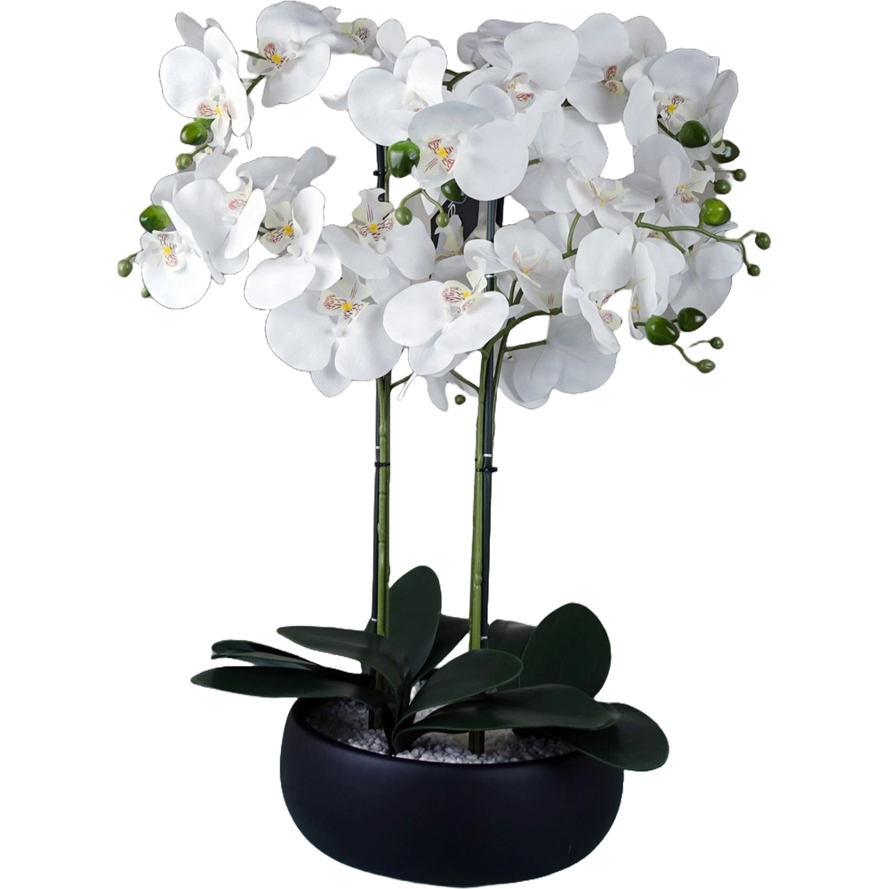 Botanik White Orchid Artificial Tree in Black Ceramic Planter 60cm Image 1
