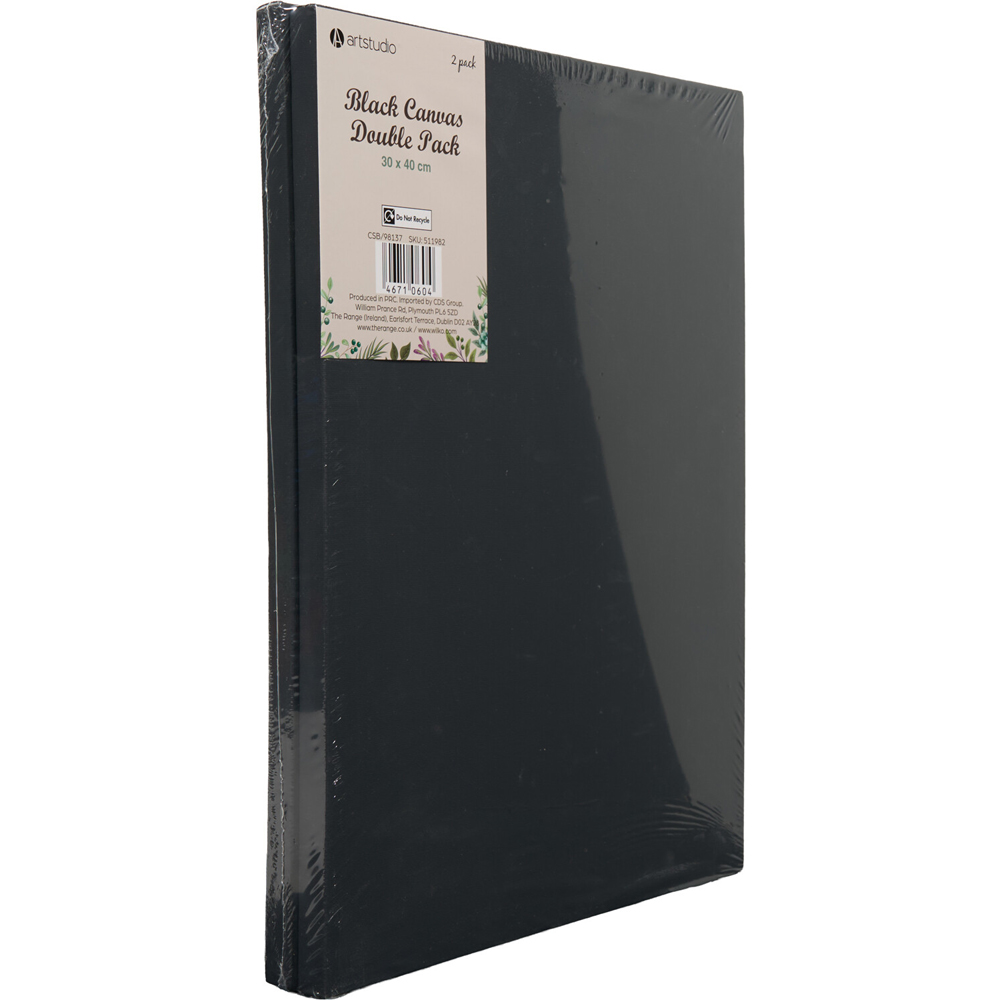 Pack of 2 Canvases Black Image 2