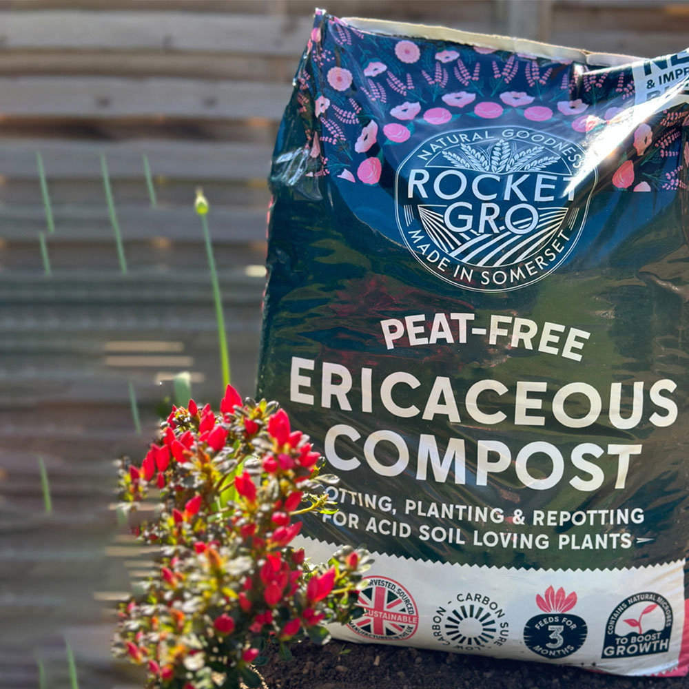 RocketGro Peat-Free Ericaceous Compost Bag 20L 2 Pack Image 2
